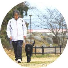 人懐っこいエルダー